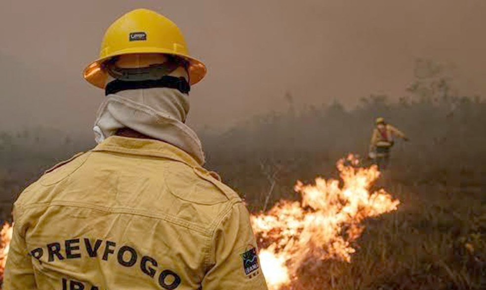 Agentes do Ibama combatem fogo em área de floresta — Foto: Ibama/Divulgação