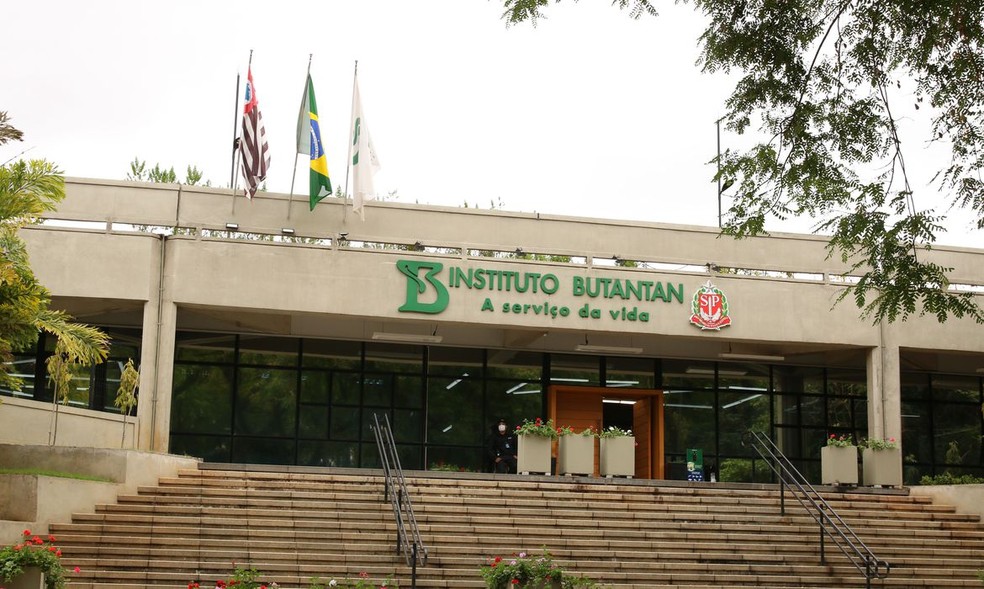 Instituto Butantan, em São Paulo — Foto: Rovena Rosa/Agência Brasil