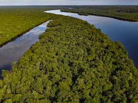 Ações locais tentam proteger a Amazônia