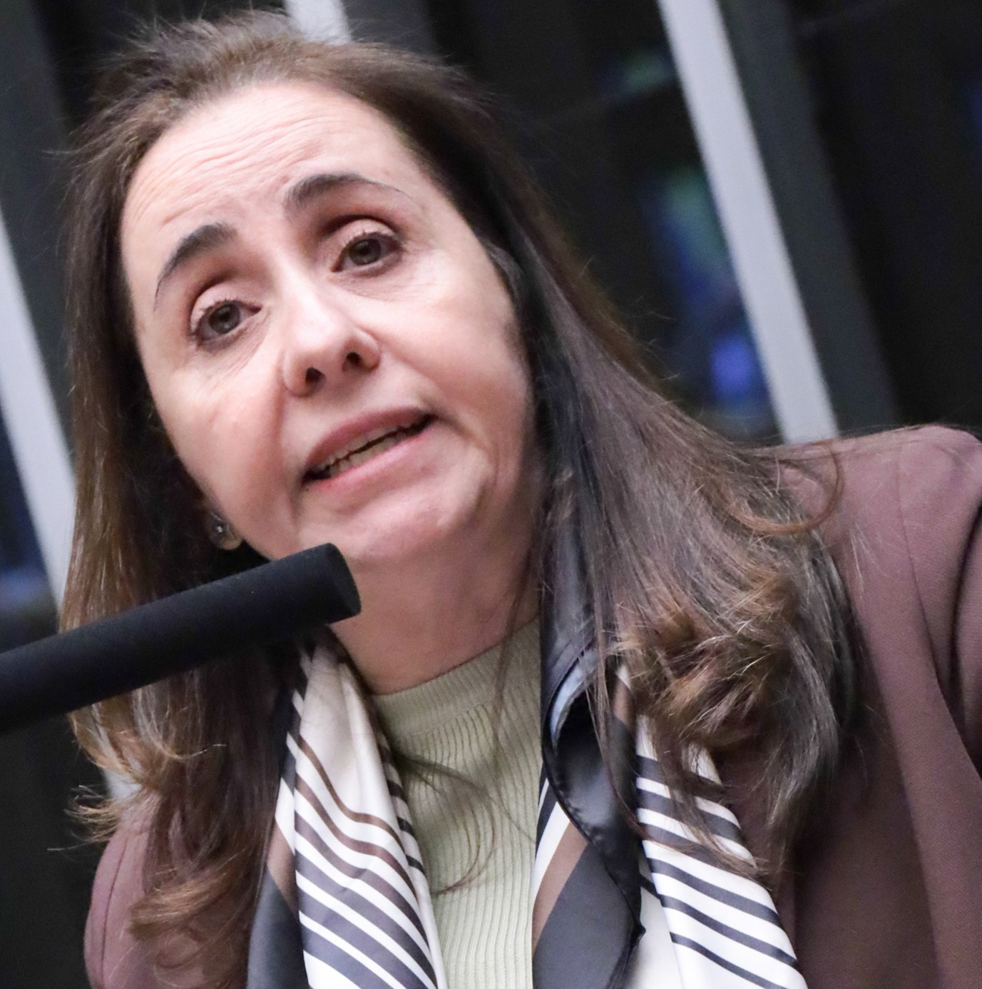 Minirreforma eleitoral chega ao Senado sob desconfiança