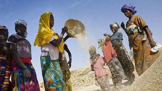Cúpula levanta recursos de US$ 2,2 bilhões para fogões para mais um bilhão de africanos