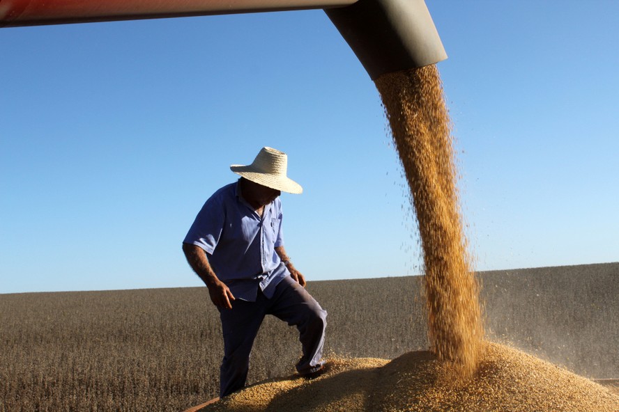 Setor de biocombustíveis investe na aquisição de matéria-prima sustentável proveniente da agricultura familiar.