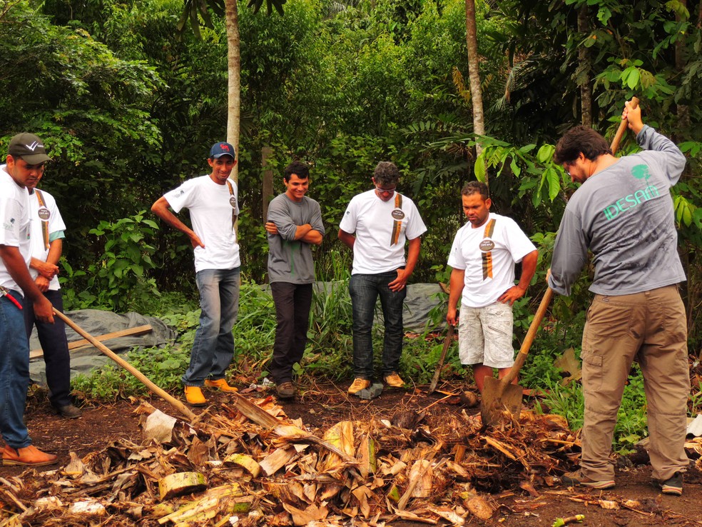 Treinamento com produtores do Café Apuí Agroflorestal: árvores são plantadas em combinação com florestas e árvores frutíferas do bioma — Foto: Idesam/ Divulgação