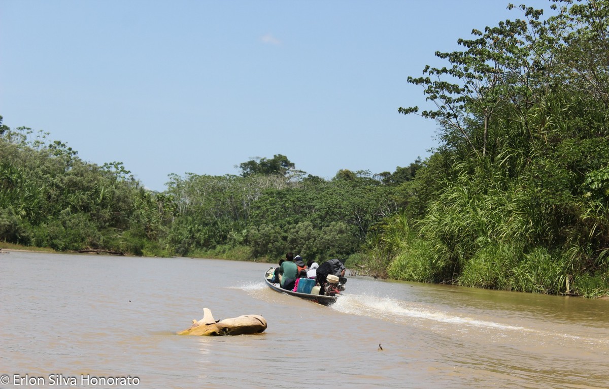 Samauma e Unicef unem forças pelo Acre
