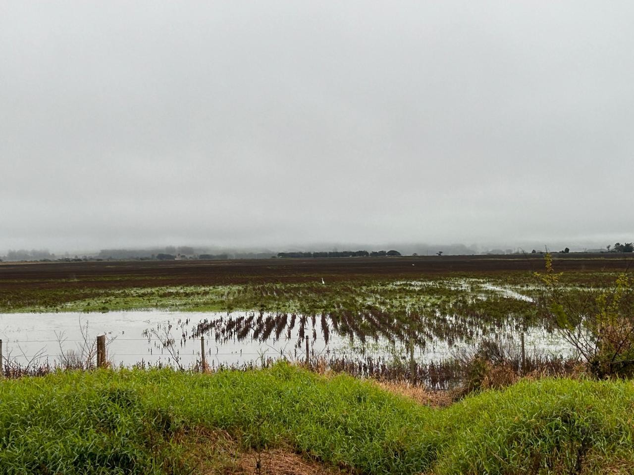 Endividamento do produtor rural no Rio Grande do Sul preocupa, após secas e enchentes