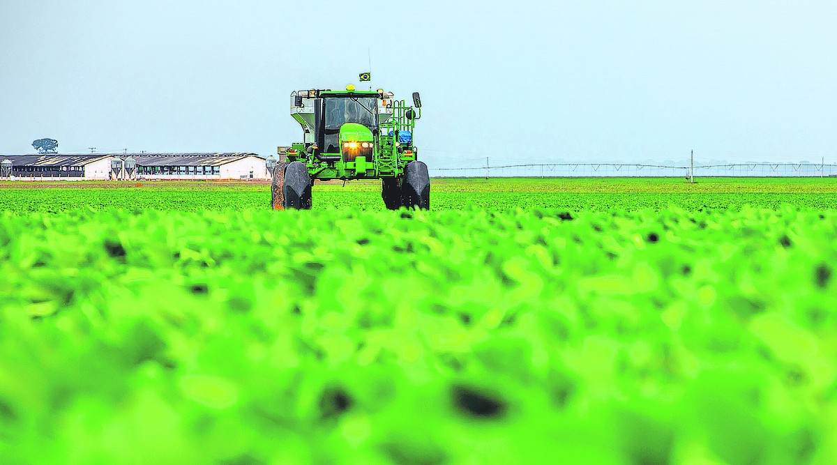 Economista critica substitutivo do governo ao projeto de lei da renegociação das dívidas rurais | Agronegócios