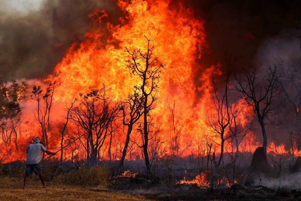 Homem tenta conter fogo no Parque Nacional de Brasília — Foto: Fabio Rodrigues-Pozzebom/Agência Brasil