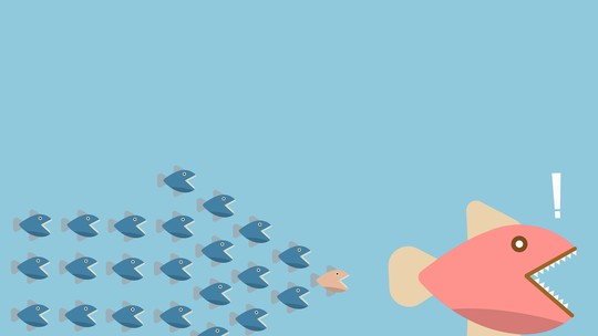 Veja as melhores small caps para investir agora
