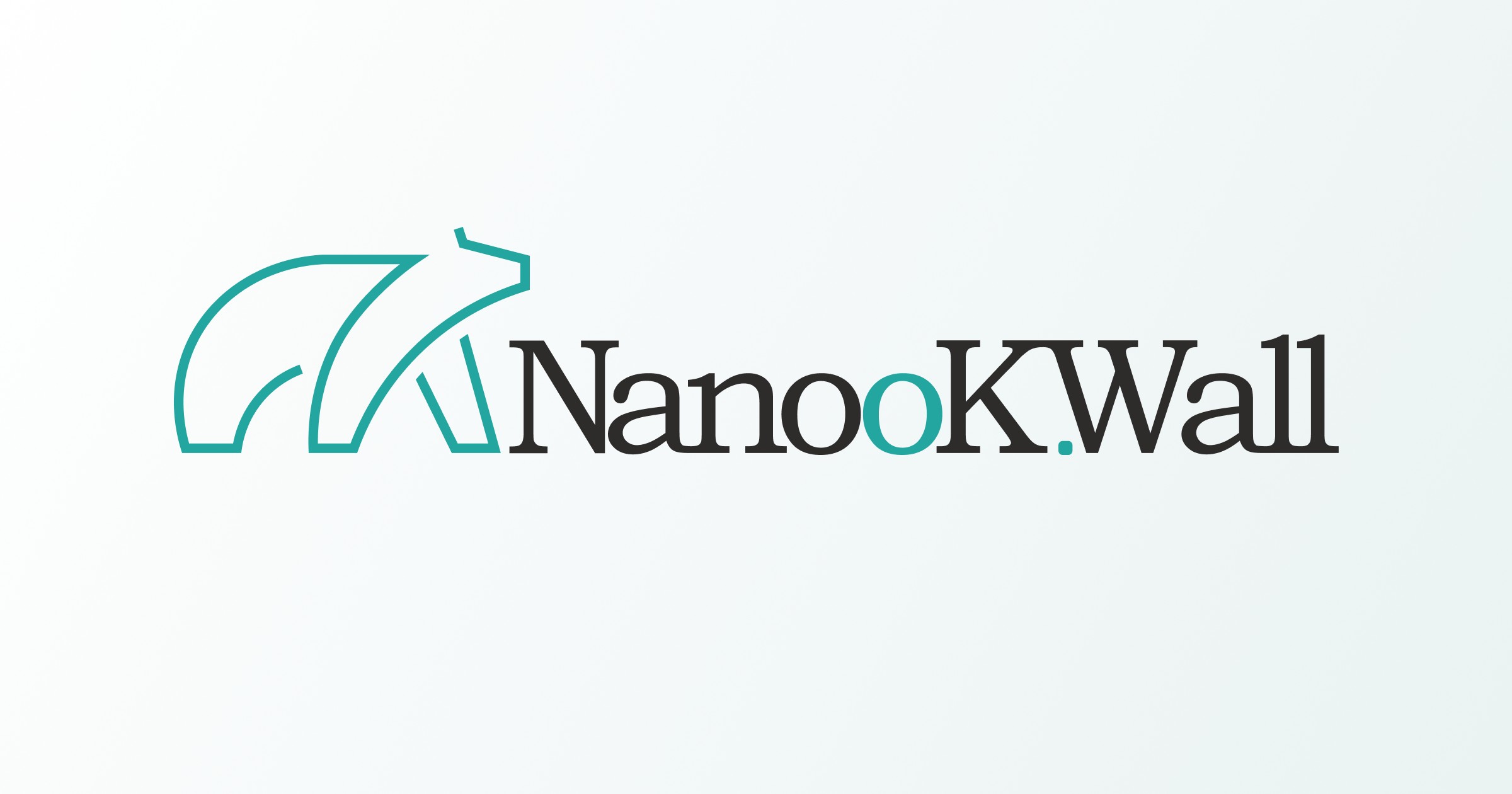 CMSW lança NanooK.Wall para proteger a infraestrutura do Pix - Foto