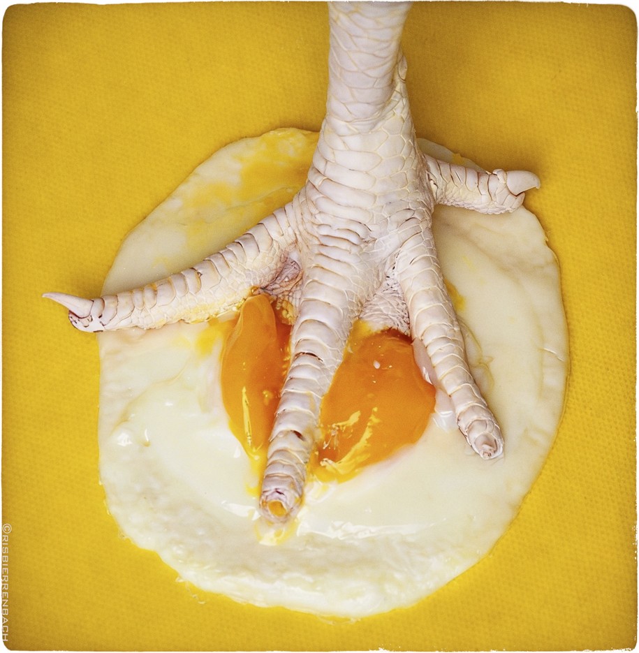 Michel Laub: Zadie Smith, ‘Tár’ e um apocalipse geracional