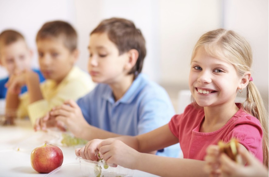 Nutrição e desenvolvimento cognitivo: a influência da alimentação no aprendizado infantil