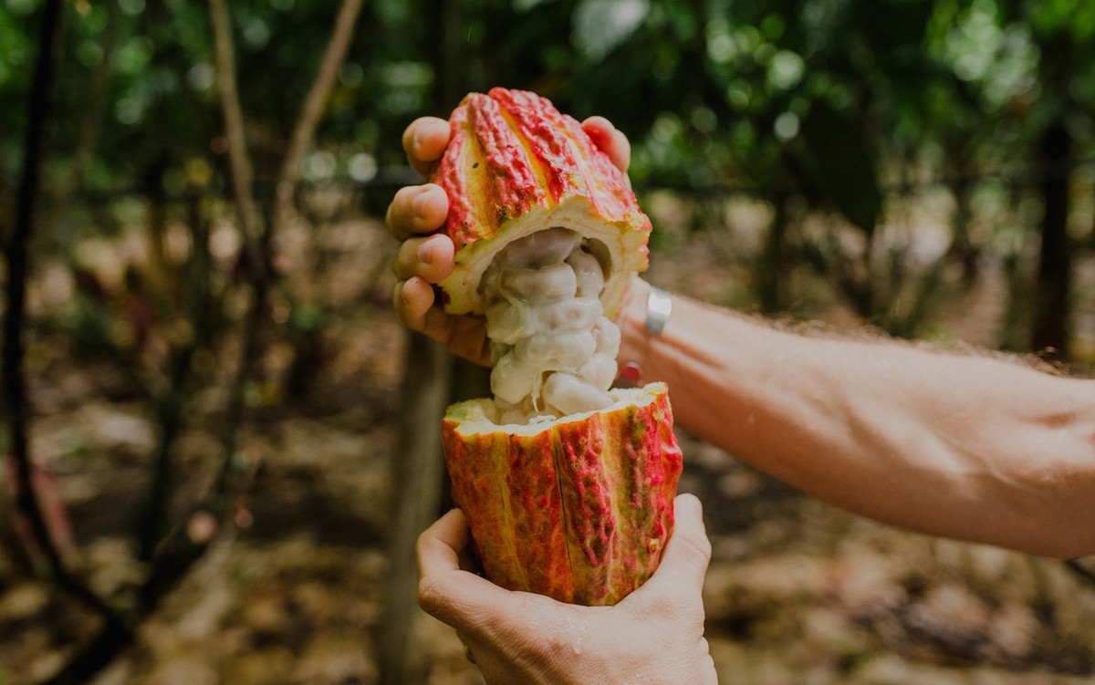 Economia global desacelera e só deve se recuperar em 2025, apesar de