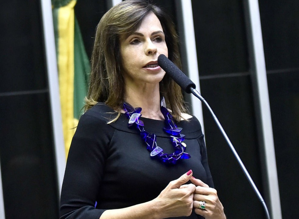 Deputada Dorinha Seabra (DEM-TO): ideia é que novo Fundeb seja votado no plenário da Câmara já no próximo mês — Foto: Divulgação