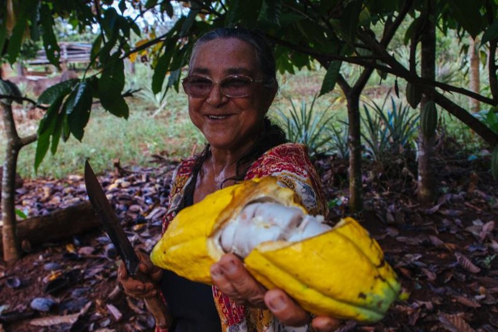 O Imaflora organiza projetos de incentivo ao cacau no Pará.  Agora, o objetivo é agregar valor ao trabalho de preservação dos produtores — Foto: Rafael Salazar/Imaflora