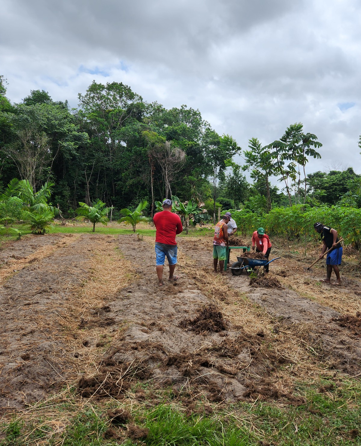Natura capta R$ 1,33 bi em debêntures sustentáveis