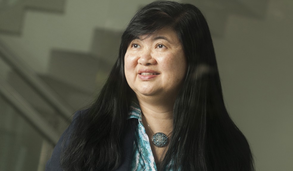 Gráfico de declaração de dividendos e impacto na bolsa após aprovação do PL do IR.