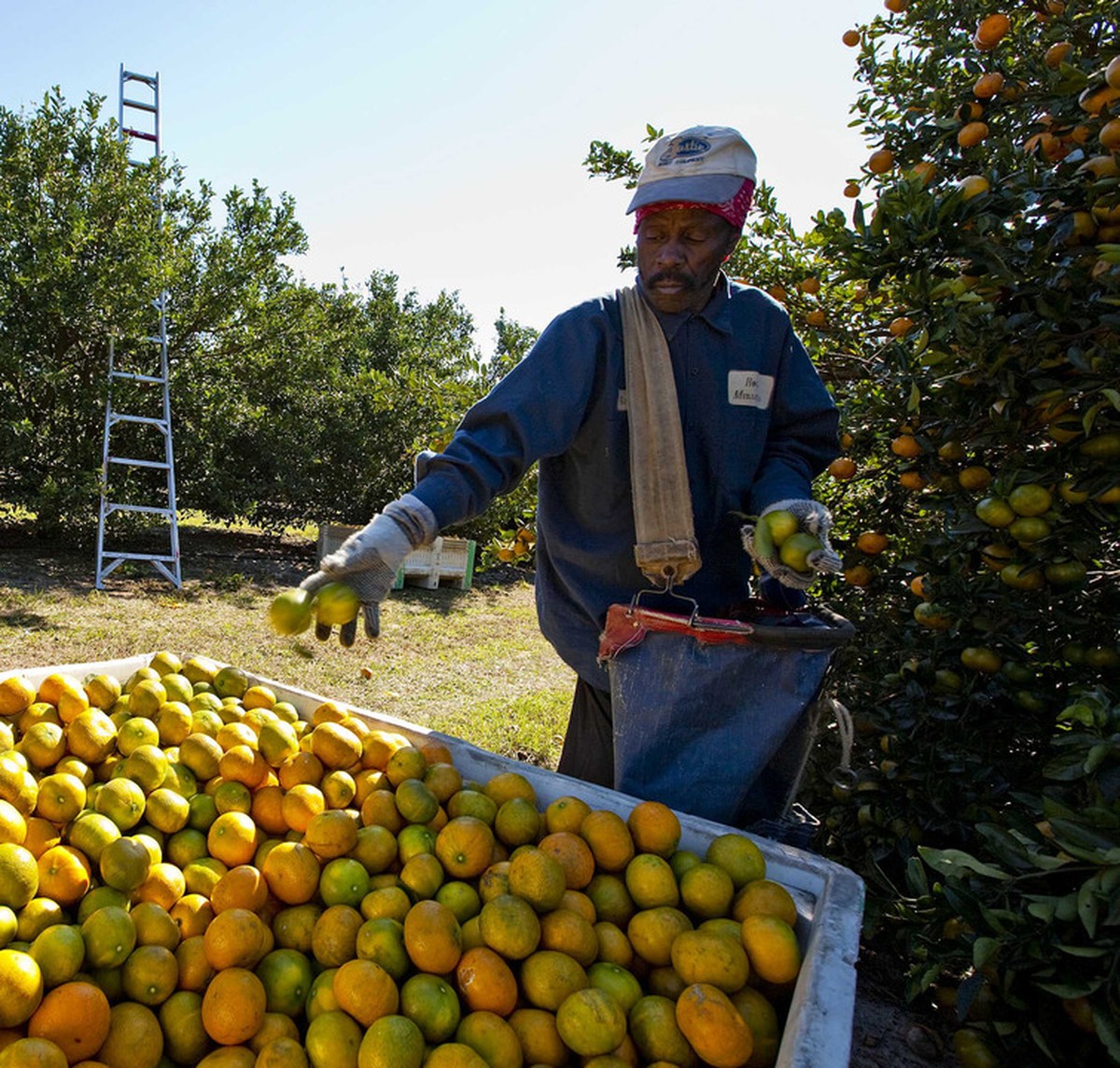 Pressão da colheita | Agronegócios | Valor Econômico