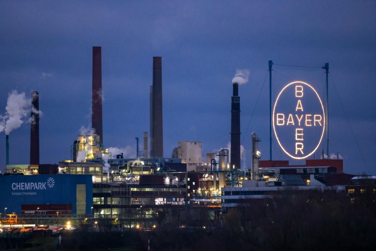 Lucro da Bayer avança impulsionado pela divisão agrícola | Agronegócios ...