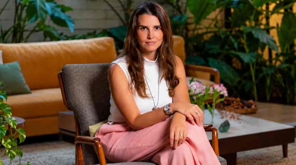 Executivo só precisa achar um tempo livre, o resto da viagem fica com a Andorin - Foto
