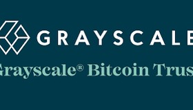 Executivo do Goldman Sachs será CEO da gestora de criptomoedas Grayscale