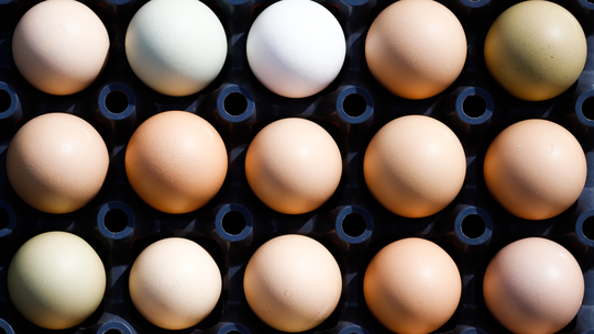 Por que o ovo de galinha está mais caro neste ano