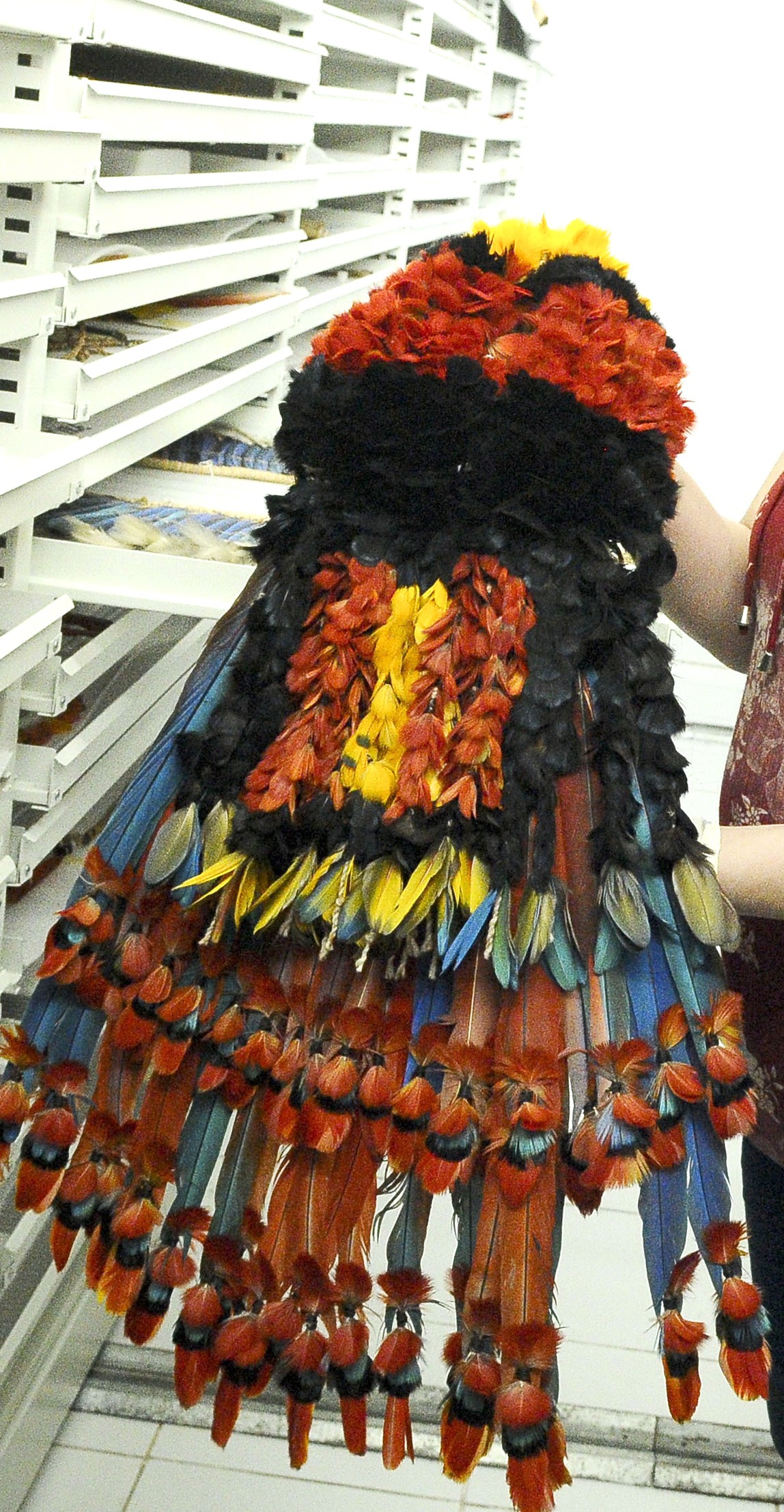 Como os museus brasileiros vêm se transformando com a diversidade