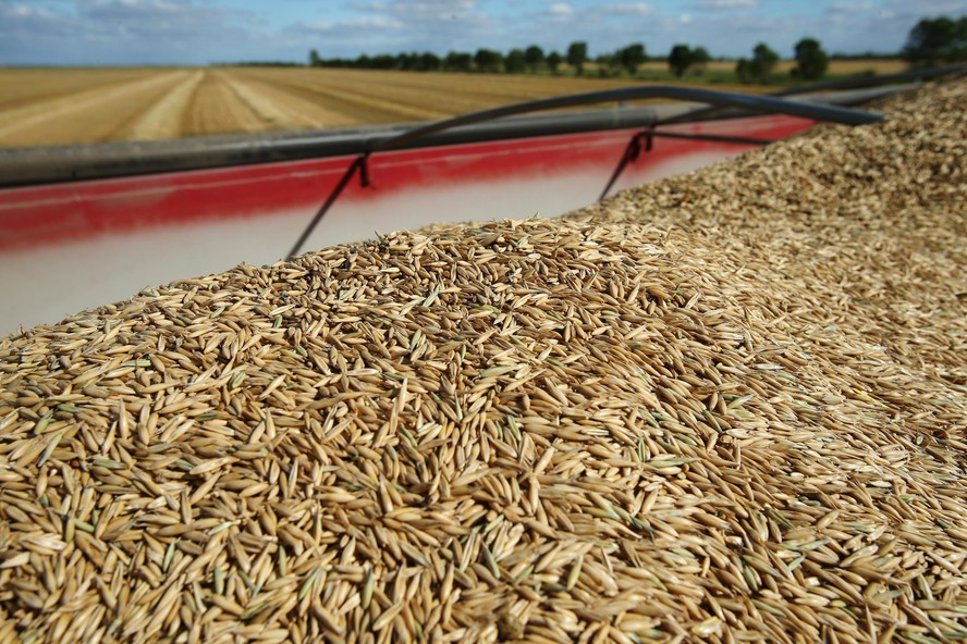 Operations During An Oat Harvest As Agriculture Ministry Reports Yields