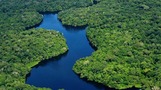 Pará lança edital a interessados em concessões florestais para a venda de créditos de carbono