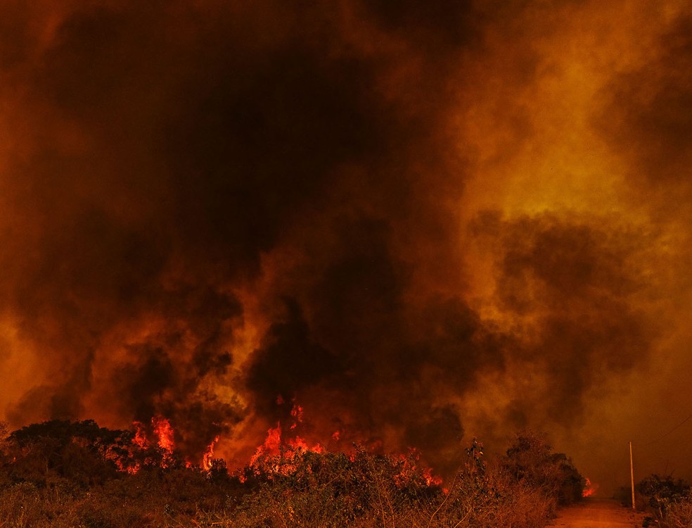 Em 2020, incêndios no Pantanal atingiram cerca de 3,9 milhões de hectares, afetando a vegetação e várias espécies de animais, como onças, lontras e veados — Foto: Mayke Toscano/Secom-MT