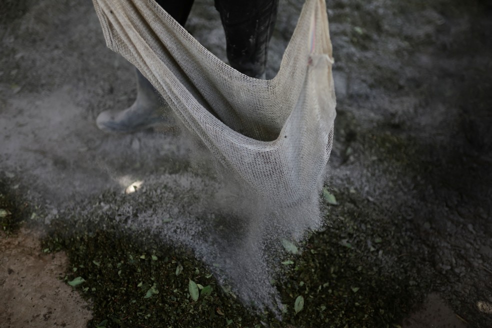 Um trabalhador espalha produtos químicos sobre folhas de coca trituradas como parte do processo de fabricação da pasta de coca, em uma pequena fazenda em San Juan de Micay, na Colômbia — Foto: Reuters/Luisa Gonzalez