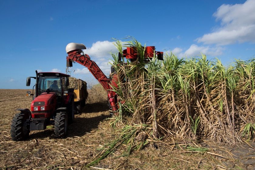 BrasilAgro teve prejuízo de R$ 14,3 milhões no terceiro trimestre