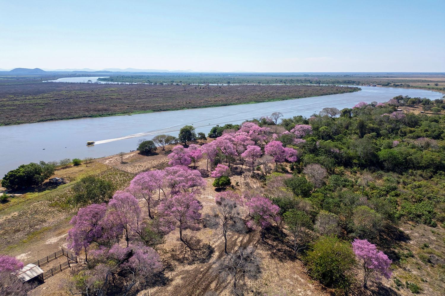 Lula sanciona com vetos lei que dispõe sobre uso, proteção e conservação do Pantanal