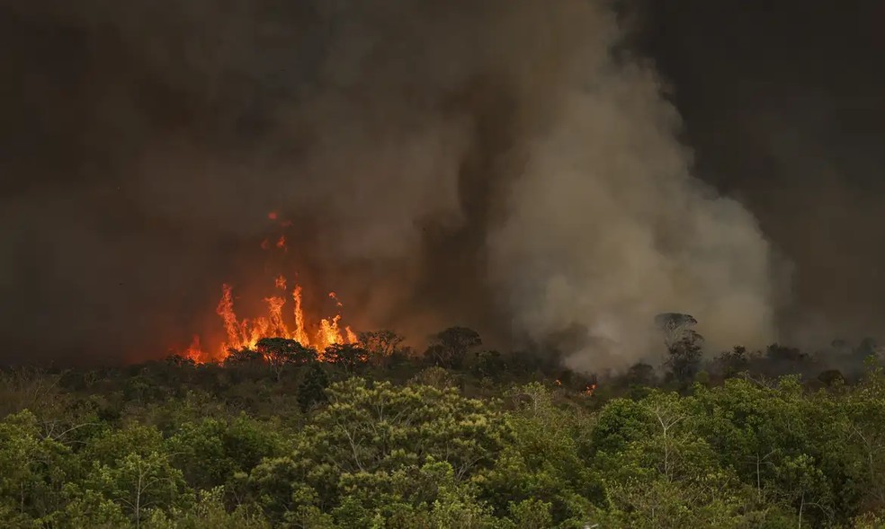 Segundo dados são do Sistema de Detecção de Desmatamento em Tempo Real (Deter), 51% do desmatamento na Amazônia decorrem de incêndios florestais, 48% de corte raso e 1% de mineração — Foto: Marcelo Camargo/Agência Brasil