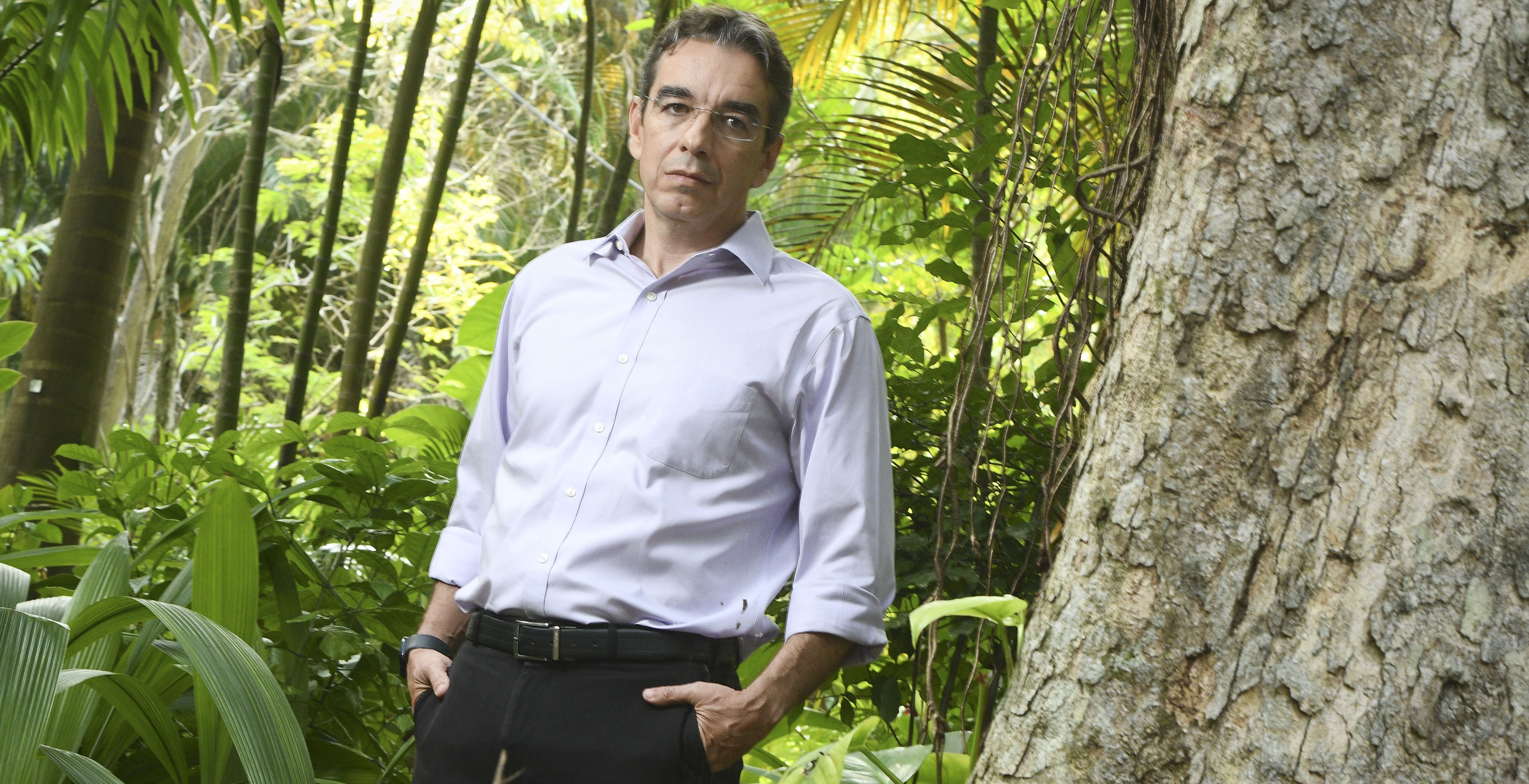 Brasil poderia ganhar US$ 900 bi com proteção da floresta, diz economista