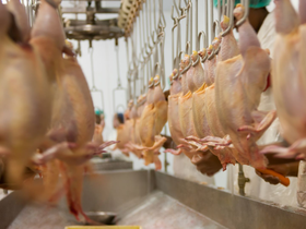 Seara compra duas granjas da Céu Azul Alimentos em São Paulo