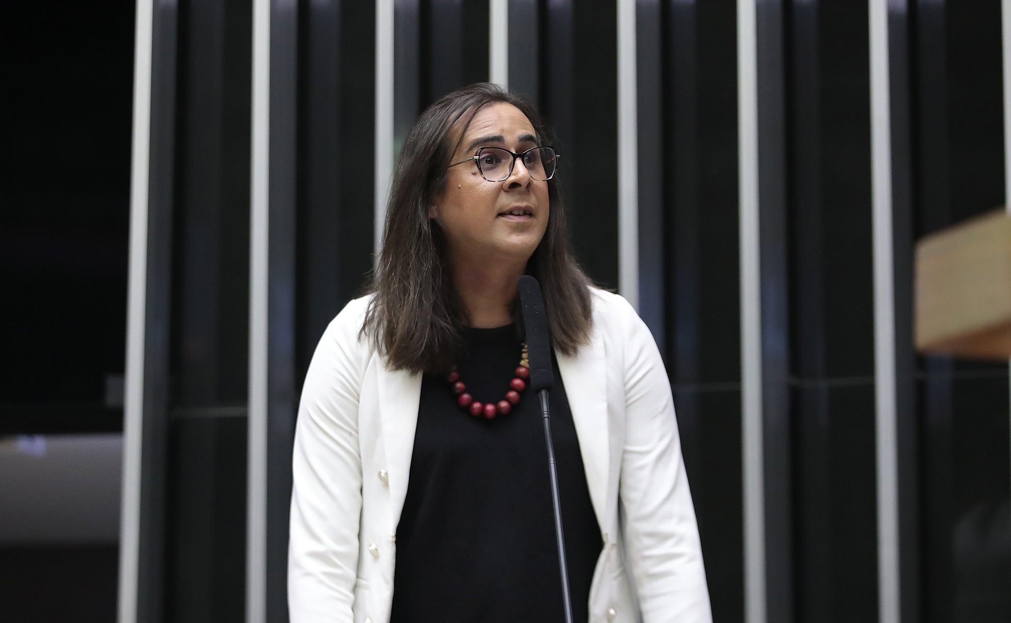 Deputada Duda Salabert diz ter sido alvo de tentativa de homicídio em fiscalização de mineração ilegal - Foto