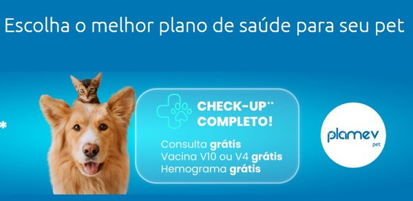 Saúdepets - Planos de Saúde Pet - Consultoria on X: Sou muito fofo! I'm  Very fluffy! #cao #cachorro #canino #dog #pet #animal #puppy   / X