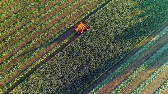 Melhor gestão poderia otimizar produtividade agro
