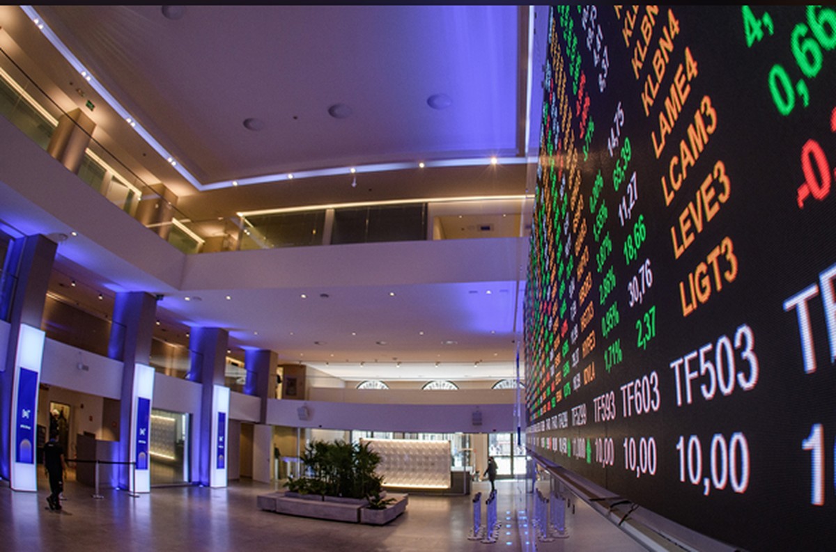 Ibovespa: Entenda as Mudanças na Carteira para 2025