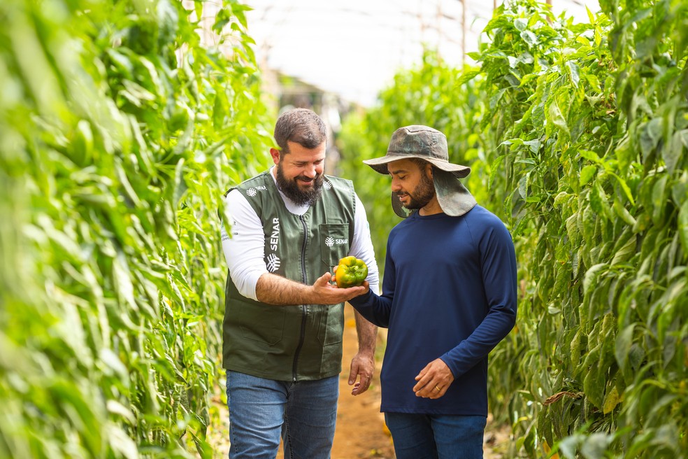 Cursos e assistência técnica do Senar levaram Levi a produzir de forma mais sustentável e saudável — Foto: Wenderson Araujo/CNA