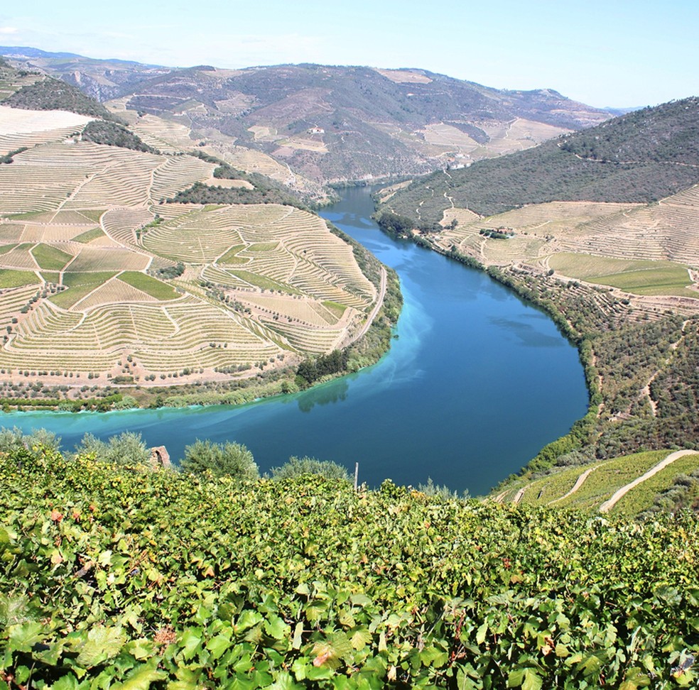 Patrimônio Mundial, a região do Douro une beleza natural, vinhos famosos e herança histórica — Foto: Jorge Lucki/Valor