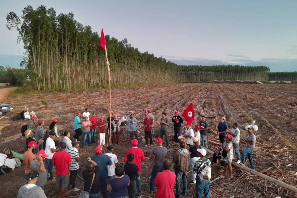 Trabalhadores rurais sem terra invadem fazendas de eucalipto da Suzano Celulose na Bahia, na madrugada de segunda-feira (27) — Foto: Divulgação Coletivo de Comunicação do MST-BA
