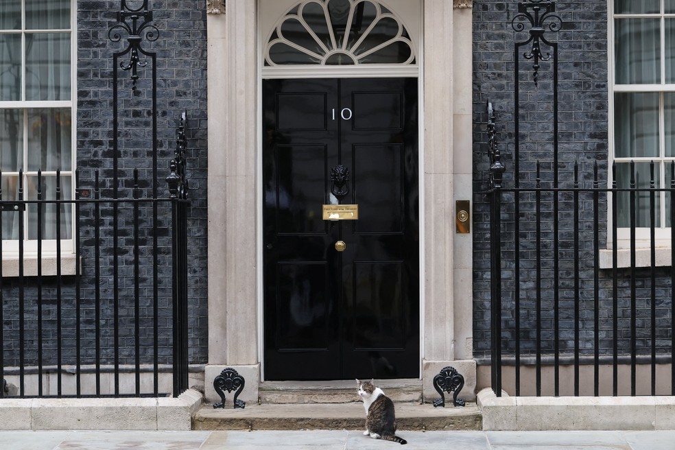 Larry, o gato, está sentado em frente ao número 10 da Downing Street, em Londres — Foto: REUTERS/Toby Melville