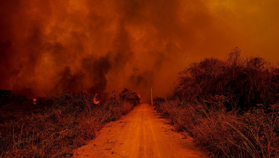 Escassez de água e fogo subterrâneo dificultam combate a incêndio no  Pantanal de MT perto da fronteira com a Bolívia, Mato Grosso