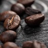 Cientistas querem criar grão de café mais resistente às mudanças climáticas