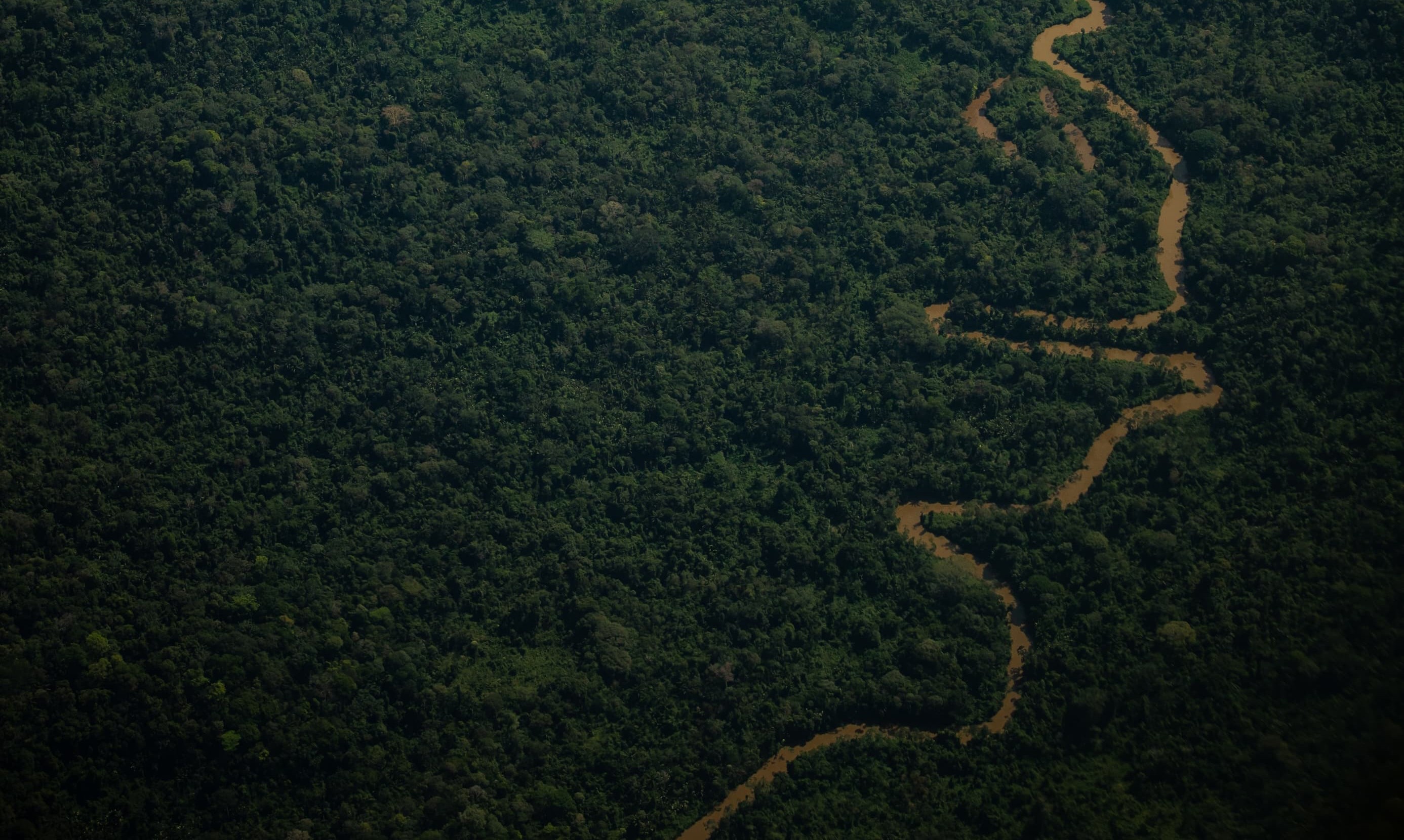 Créditos de carbono impulsionam inovação em seguros
