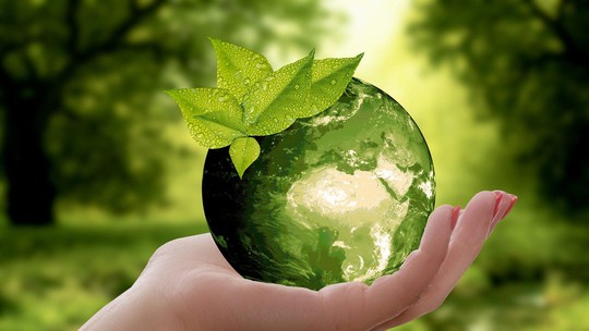 CMN define aspectos gerais de regulamento do programa Eco Invest Brasil