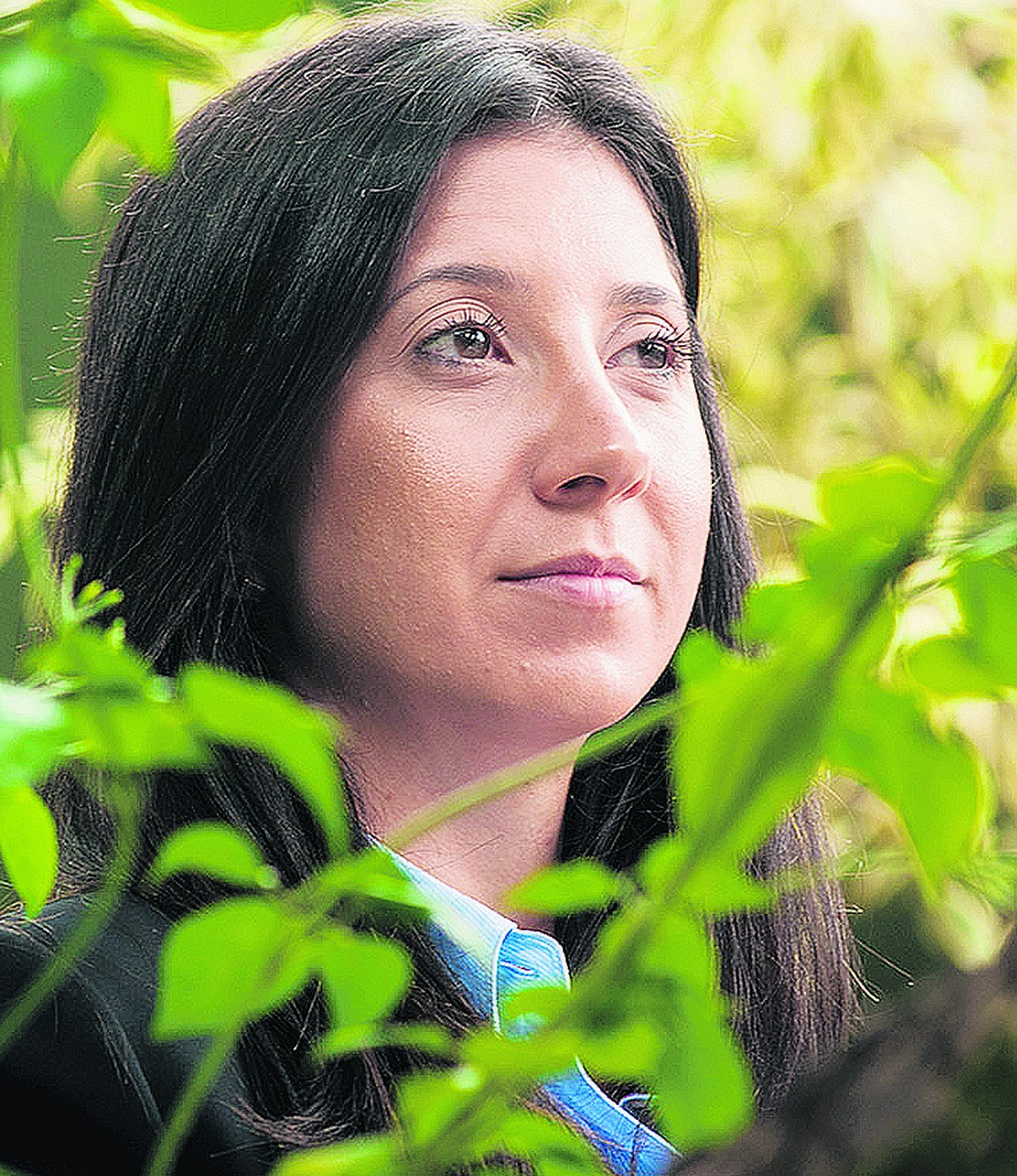 Multas, fiscalização e arbitragem: entenda o que mudou no Código ...