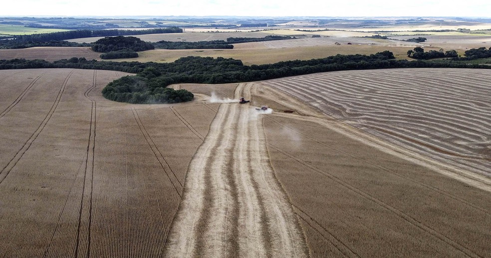 UM AGRICULTOR, BUSCANDO O AUMENTO DA PRODUTIVIDADE DE SUA ()