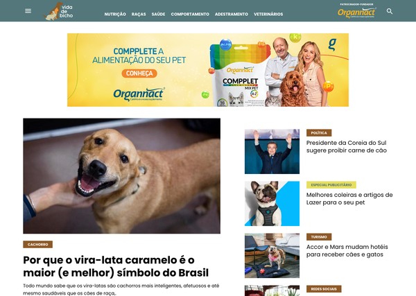 O cachorro que ganhou o Brasil: o vira-lata - Organnact
